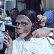 Un'immagine scattata sul set de Il pianeta delle scimmie