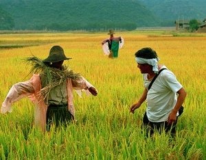 Una scena del film Getting Home