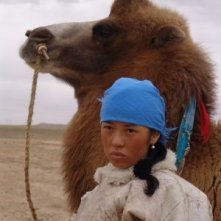 Yu Nan in una scena del dramma Tuya's Marriage