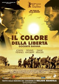 Locandina di Il colore della libertà