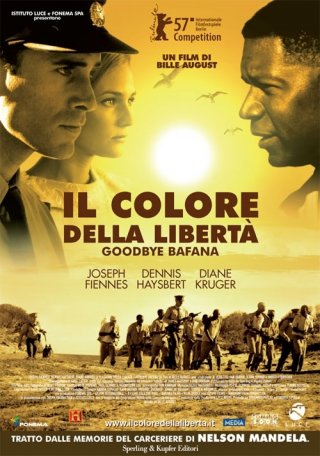 La locandina italiana di Il colore della libertà