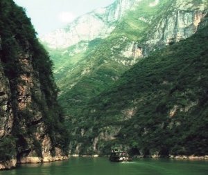 Un'immagine di Still Life