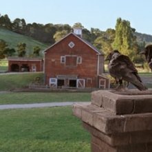 Una scena del film La tela di Carlotta (2006)