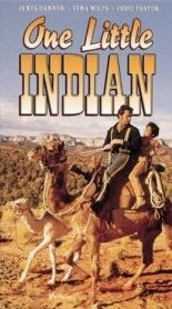 La locandina di Un piccolo indiano