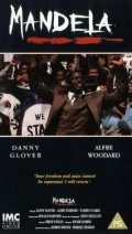 La locandina di Mandela
