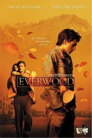 La locandina di Everwood