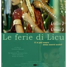 La locandina di Le ferie di Licu