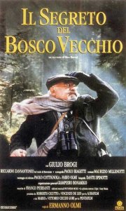La locandina di Il segreto del bosco vecchio