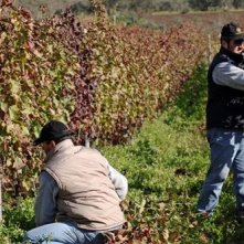 Una scena del film Il mio paese