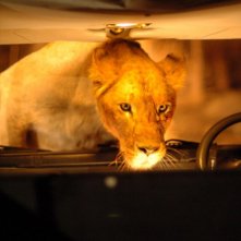 Il feroce protagonista del film Prey