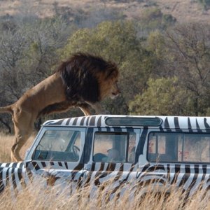 Una scena del film Prey (2007)