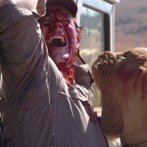 Una sequenza gore del film Prey