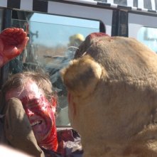 Una scena splatter del film Prey