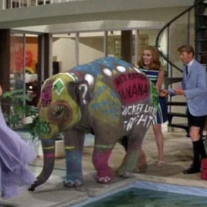 Una scena del film di Blake Edwards Hollywood Party