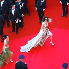 Cannes 2007: Andie MacDowell