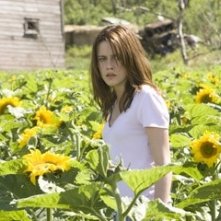 Kristen Stewart tra i girasoli in una scena del film The Messengers