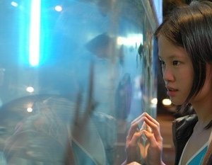 Una immagine del film Pleasure Factory