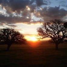 Una scena del film Silent Light