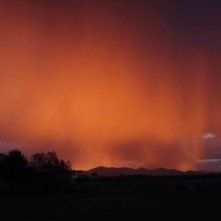 Una scena del film Silent Light