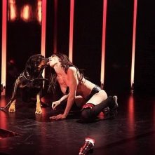 Asia Argento nella famigerata scena del bacio al rottweiler in Go Go Tales