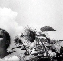 Una scena del film La terra