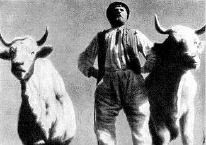 Una scena del film La terra