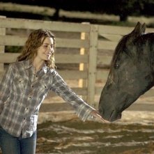 Alison Lohman in una scena del film Flicka