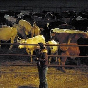 Ashley Johnson in una immagine del film Fast Food Nation