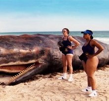 Kerri Kenney-Silver e Niecy Nash in una scena di Reno 911!: Miami