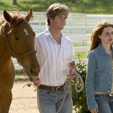 Ryan Kwanten e Alison Lohman in una scena del film Flicka