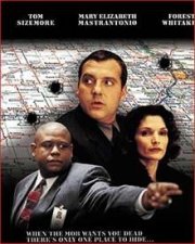 La locandina di L'occhio gelido del testimone