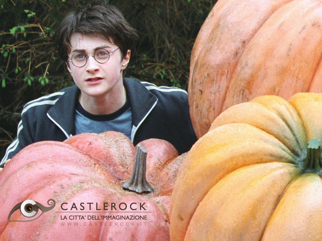 Wallpaper Del Film Harry Potter E Il Prigioniero Di Azkaban 61800