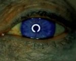 Nakata disponibile a girare 'The Ring 3'