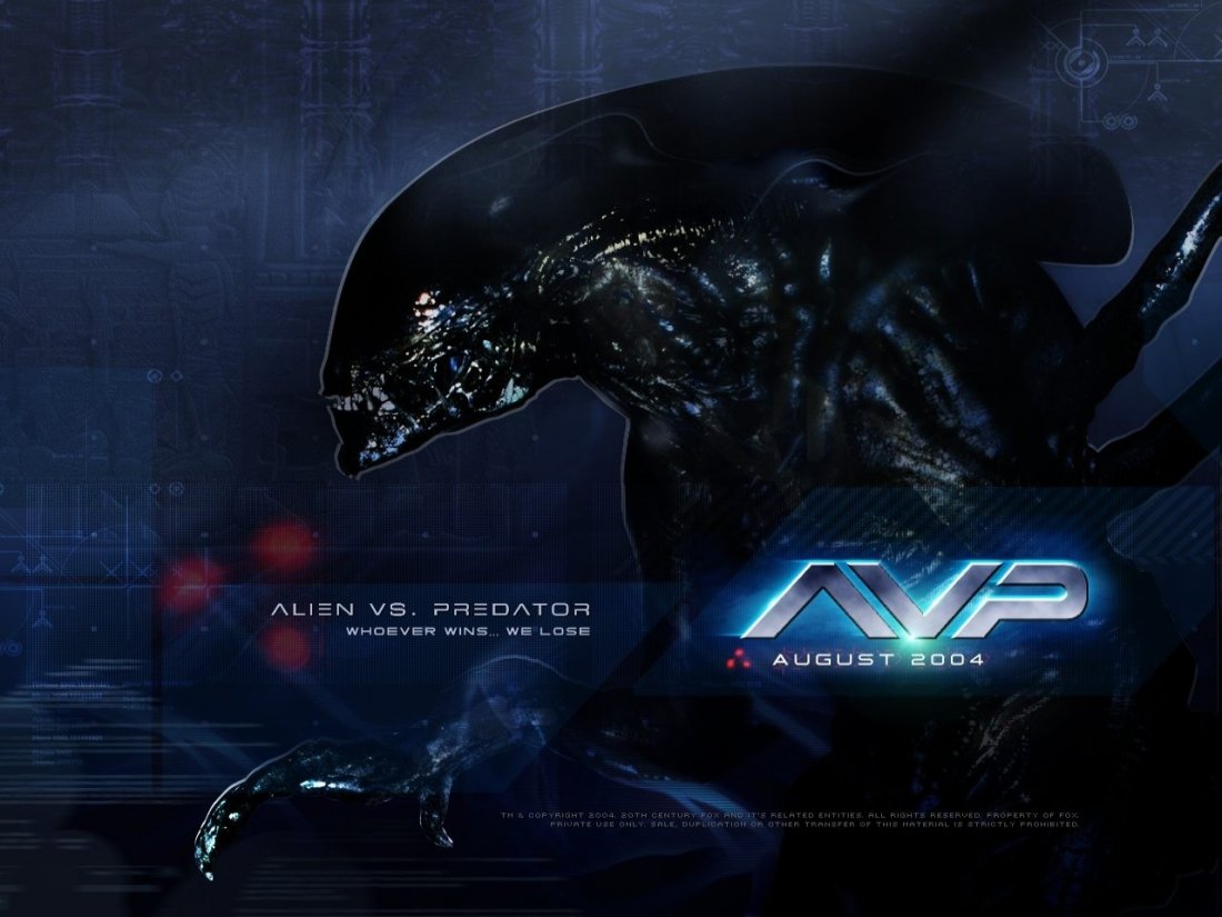Wallpaper Del Film Alien Vs Predator 61922