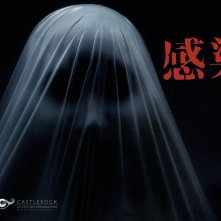 Wallpaper del film Infection