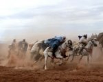 Recensione Zaïna, cavalière de l'Atlas (2005)