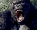 Tre ore di King Kong