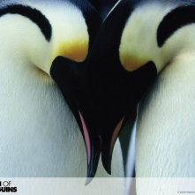 Wallpaper per il desktop del film La marcia dei pinguini