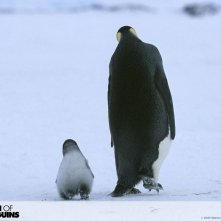 Un simpatico wallpaper del film La marcia dei pinguini
