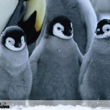 Wallpaper del film La marcia dei pinguini