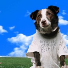 Wallpaper del film Ogni cosa è illuminata