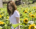 Orrore tra i girasoli per i fratelli Pang