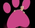 Un sequel per la Pantera Rosa