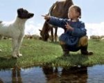 Recensione Il cane giallo della mongolia (2005)