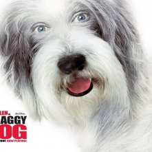 Wallpaper del film Shaggy Dog