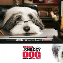 Wallpaper del film Shaggy Dog - Papà che abbaia... non morde
