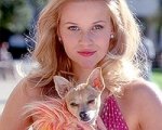 Ancora una 'Bionda', ma senza Reese