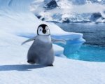 Una canzone di Prince per 'Happy Feet'