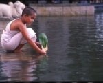 Recensione Water (2005)