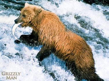 Un wallpaper del film Grizzly Man